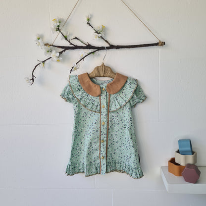 Vintage Collar Dress